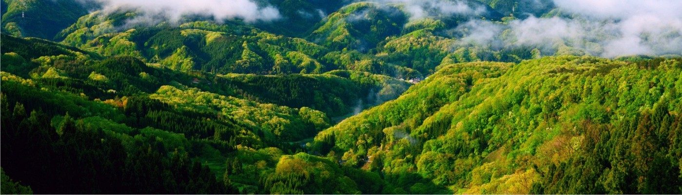 vaile bratia si bratioara